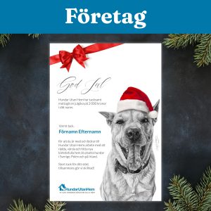 Digitalt Gåvobevis - Julgåva för företag