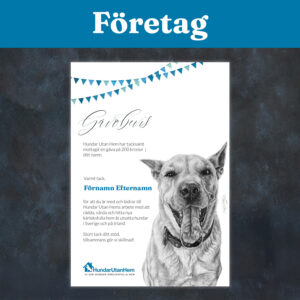 Digitalt Gåvobevis - Företagsgåva