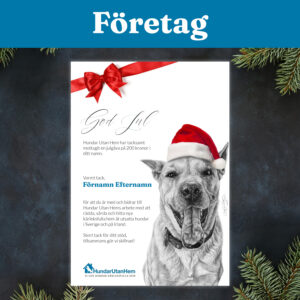 Digitalt Gåvobevis - Julgåva för företag